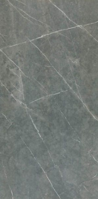 Керамогранит ALTAMURA GRAY PUL 60x120 от TAU Ceramica (Испания) в Москве