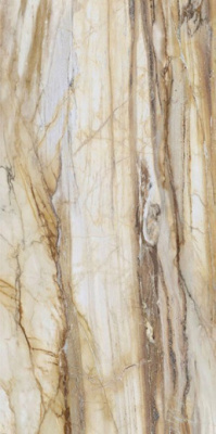 Керамогранит LM FOSSIL ST R E (FBS00MQ041) 100x200 от Roca (Испания) в Москве