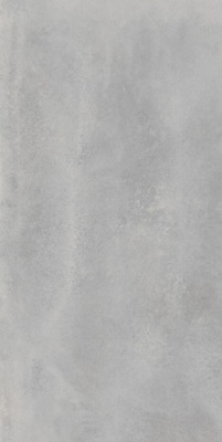 Керамогранит Астро Сильвер Рет (610010002740) 60x120 от ColiseumGres (Россия) в Москве
