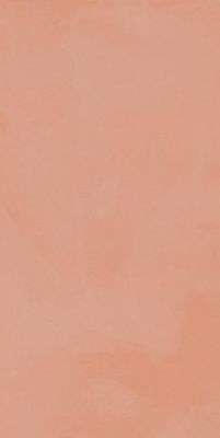 КерамогранитTOUCH EVO CORAL NAT. 60x120 от La Fenice (Италия) в Москве