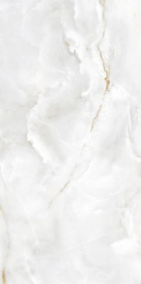 Керамогранит EC.Eternal white 004 PL 60x120 от Ecoceramic (Испания) в Москве