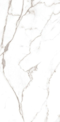 Керамогранит Statuario Grase GLOSTER 60x120 от Maimoon Ceramica (Индия) в Москве