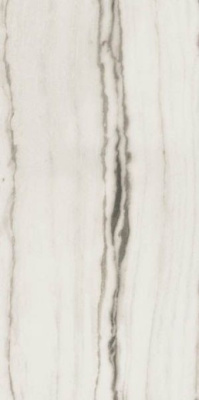 Керамогранит PREXIOUS REX WHITE FANTASY MAT R (755833) 60x120 от REX Ceramiche (Италия) в Москве