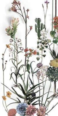 Керамогранит PAPER41 LUX Franz (4100716) (3 варианта паттерна) 60x120 от 41ZERO42 (Италия) в Москве