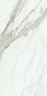 Керамогранит Jolie Calacatta Select LUC SQ (JL02) 120 60x120 от Mirage (Италия) в Москве