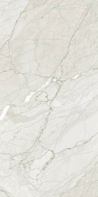 Керамогранит Stelvio Dove Carving 120x60 от Bluezone (Индия) в Москве