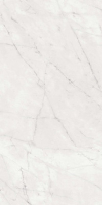 Керамогранит SENSI 900 CARRARA NAT RET (PF60012758) 60x120 от ABK Ceramiche (Италия) в Москве