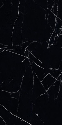 Керамогранит MAJESTIC ROYAL NERO NAT/RET (02580) 60x119.5 от Piemme Ceramiche (Valentino) (Италия) в Москве