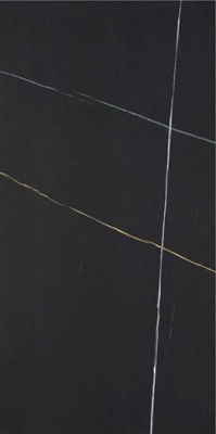 Керамогранит Symphony Noir Pul. Rect 60x120 от STN Ceramica (Stylnul) (Испания) в Москве