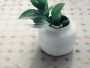 Плитка CAVA (Vallelunga Ceramica) в Москве