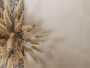 Плитка ПРО МАТРИКС (Kerama Marazzi) в Москве