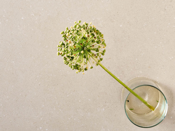 Плитка SUPERCLASSICA SCB (41ZERO42) в Москве