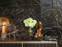 Плитка ALLURE (Atlas Concorde) в Москве