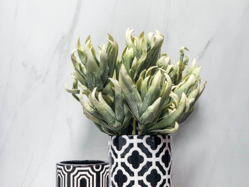 Плитка DOZZA (TAU Ceramica) в Москве