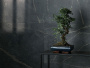 Плитка SOAP STONE (Cercom Ceramiche) в Москве