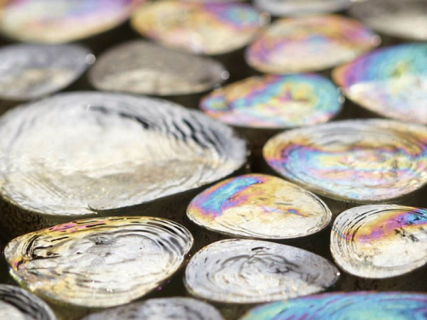 Мозаика DROPS (Art&Natura) в Москве