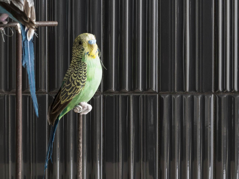 Плитка WIGWAG (41ZERO42) в Москве