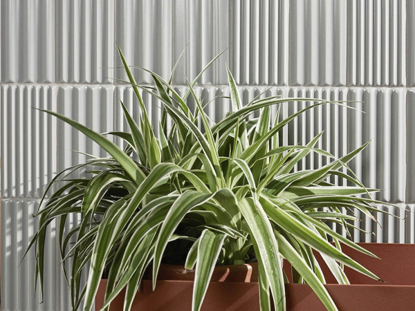 Плитка WIGWAG (41ZERO42) в Москве